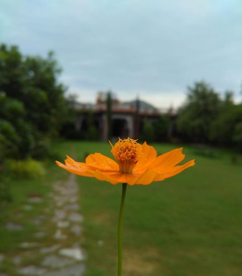 Pushkar Vela Resort מראה חיצוני תמונה